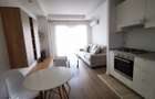 Apartament tip studio de inchiriat in Cosmopolis - 9