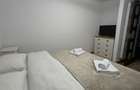 Apartament 2 camere in Someseni - 2