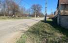 Teren de vanzare 11.000 mp, acces asfaltat - 3