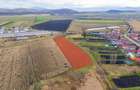 Teren extravilan Bod, 10.000 mp, acces DE 290, zona spre Harman - 5