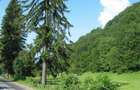 vand 1123mp teren in localitatea Moroeni, DN 71 la cca 17km de Sinaia si 108 km de Bucuresti - 1
