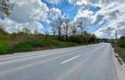Teren intravilan Bucium Iași – plan doi, 55 ml deschidere, drum privat 7 m - 1