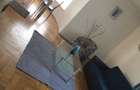 Inchiriez ap.3 cam Pasteur la 2 min de Umf - 3