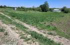 TEREN NICSENI intravilan pentru constructie casa - 4