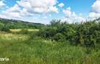 Teren intravilan Fara PUZ in Borhanci, zona de case, Remenyik Sandor