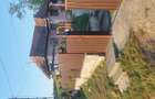Casă cu 2 camere cu Teren 1400 Mp în Vișinelu - 4