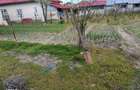 Casa localitatea Soreni Dolj (Comuna Celaru ) teren 8481 mp - 5