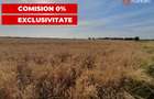 COMISION 0% Teren de vanzare intravilan de 24.700 mp - Padur - 7