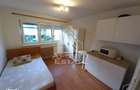 Apartament cu 1 camera de vanzare, zona Buziasului, Timisoara