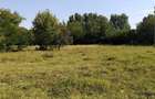 Teren intravilan Francesti,Valcea - 8