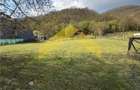 Cabana din piatra de codru si busteni pe Clisura Dunarii, Caras-S - 18