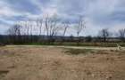 Teren 26500mp investitie dezvoltator imobiliar km 7 Calea Caransebesului 11 euro negociabil - 1