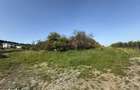 INVESTITIE! Teren extravilan - 1050 mp - zona Wonderland , Cluj! - 2