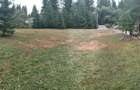 Teren intravilan superb Toplita pe str. Murelor ptr investitie sau ptr.locuinta - 6