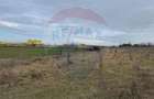 Teren intravilan 13800 mp - Centura de Nord Arad - 4