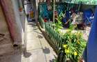 Faleza Nord, casa din chirpici, 164 mp., pret 185.000 euro - 11