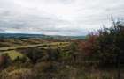 Teren 3,3 ha pentru viata la natura livada, liniste, Strunga Iasi - 8