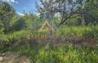 Teren intravilan Baia Sprie 815 mp - 8