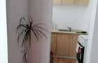 Apartament cu o camera de vanzare Tudor zona Parc Substejeris - 5