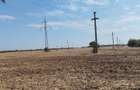 Teren de vanzare (9 /mp) sau de inchiriat (1/mp) Alexandria/Nanov - 3