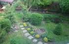 Casa in mijlocul naturii - 3