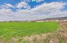 Teren extravilan, 1 ha, in ora?ul Sebi?, Arad - 2