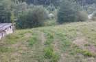 Vand teren cu pomi fructiferi + teren agricol