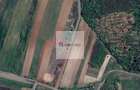 Teren de 11.000 mp cu casa si teren agricol | La 40 km de Bucuresti | - 14
