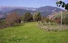 Teren Magura Moieciu cu panorama de exceptie - 1