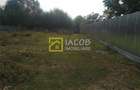 Teren intravilan 993 mp, Cartier Serbanesti, Bacau - 2