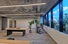 Herastrau exclusivist office 160mp - 10