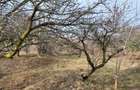 Teren Intravilan 43Ari zona Ortelec-Zalau intre case 4800eur/ar - 2