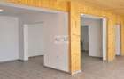 Spatiu comercial/Apartament la etaj/Teren 1187 mp - 8