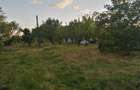 Vand teren intravilan, 1600 mp, la 22 km de Cluj-Napoca - 7