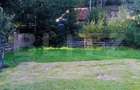 Cabana cu parau si brazi maturi, 1400mp, Valea Fericirii - 9