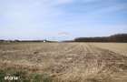 Teren 9,740mp Suceava / Strada Principala - 5
