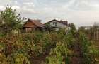 Moara Vlasiei , Casa cu teren 4250 m2 - 7
