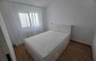 Apartament cu 2 camere semidecomandat în Runcu - 2