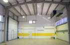 Hala moderna / Productie / Depozitare / Show-room - 5