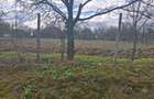 Vand teren intravilan 2800 m2 - Sat Botesti - comuna Horodniceni - jud Suceava. - 7