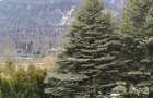 Busteni ,Casa ta de vacanta -Piatra Arsa . - 4