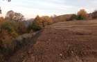 Vand teren intravilan sat. Plopii, com. Valea Ierii - 6