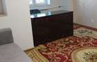 Apartament 2 camere de inchiriat Drumul Sarii - 2