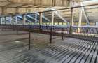 Spațiu industrial -fermă Orțișoara - 6