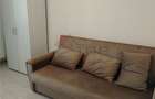 Inchiriere apartament cu 1 camera decomandat Valea Adanca TLT - 4