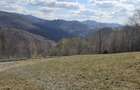 Vand teren pentru cabane - 4