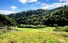 Teren 60 ari in Rosia (Bihor) Poiana superba cu PARAU, izvor si DUBLU ACCES