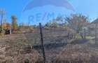 Teren 1,200mp Perieni / Drumul poiana sat - 3