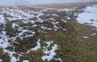 RECO, teren extravilan, Zona Sinteu, Bihor - 7