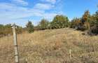 Teren intravilan de vanzare, 2600 mp, zona Carcea - 1